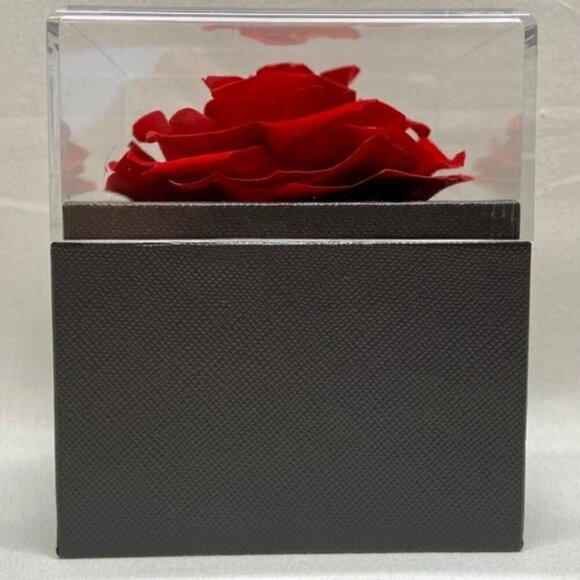 Eternal Rose Preserved Flower Jewelry Box & Silvertone Gemstone Necklace Gift - Picture 7 of 13